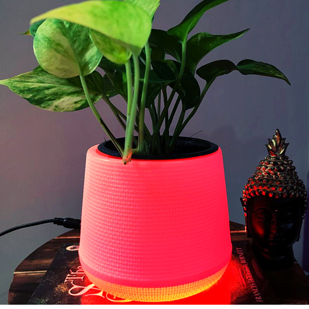 Homefrills LED Flower Pot PEAR with Red Light (Plastic Garden Pot, Indoor Planter, Flower Pot, Home Decor, Garden Decor) 5 inches LED Planter.Package Contains-1 Planter with 1 Adapter